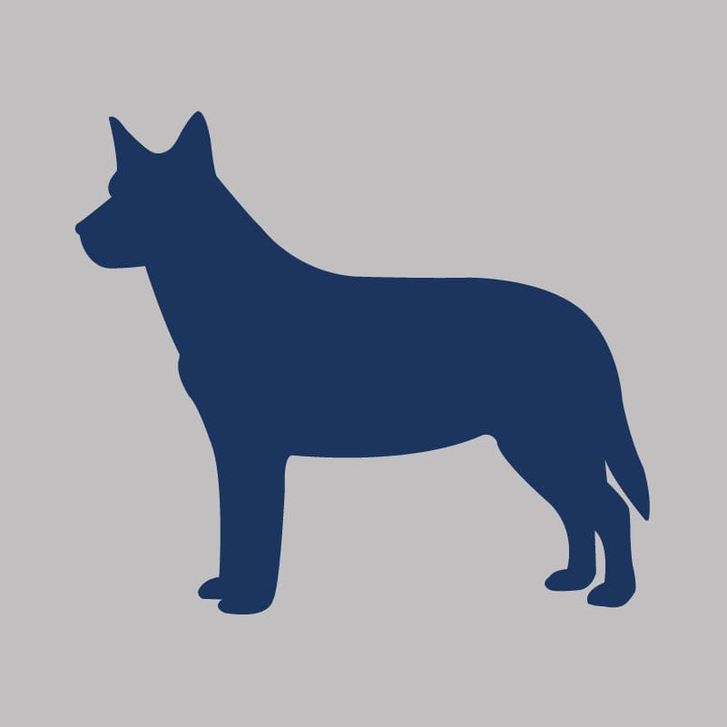 Australian Cattle Dog - Infant Onesie