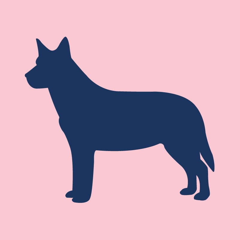 Australian Cattle Dog - Infant Onesie