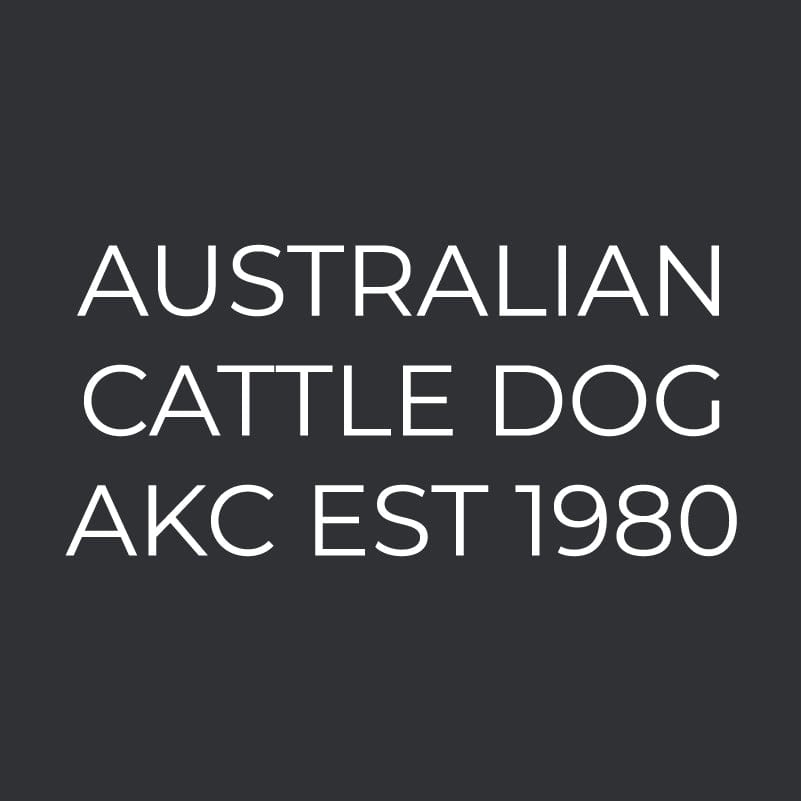 Australian Cattle Dog Embroidered AKC Men's Polo