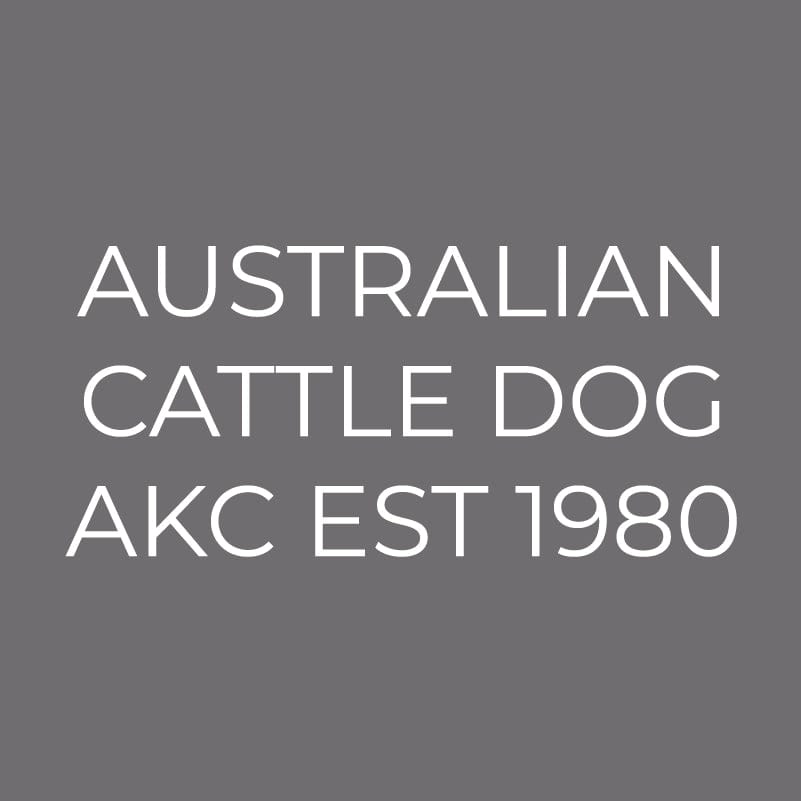 Australian Cattle Dog Embroidered AKC Men's Polo