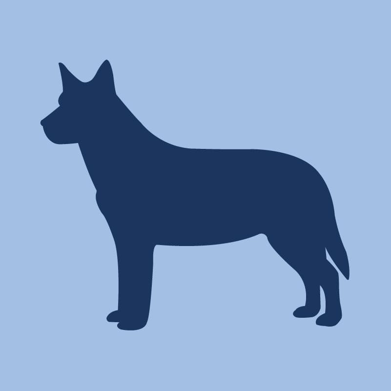 Australian Cattle Dog Children's Full Zip Sweatshirt