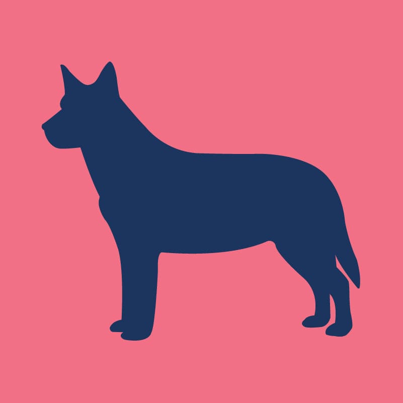 Australian Cattle Dog Children's Full Zip Sweatshirt