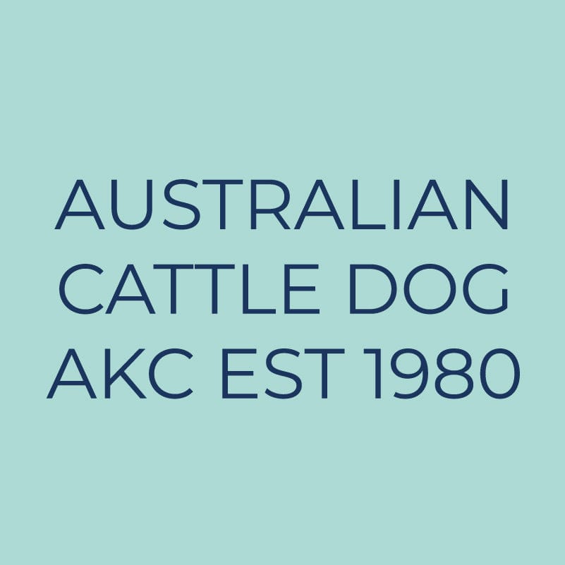 Australian Cattle Dog Embroidered AKC Quarter Zip