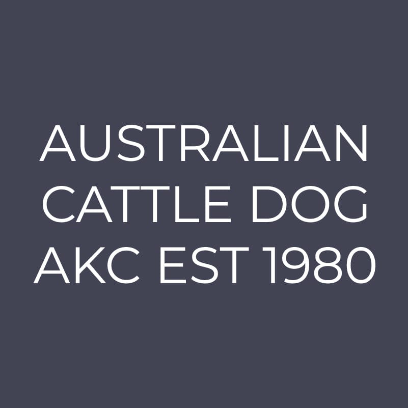 Australian Cattle Dog Embroidered AKC Quarter Zip