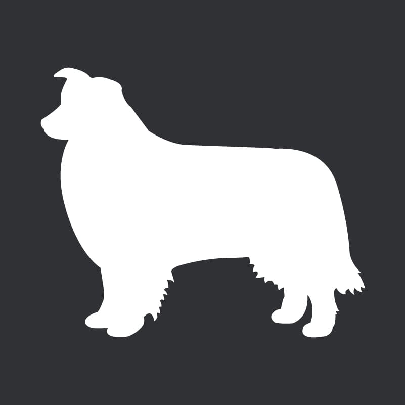 Border Collie Embroidered AKC Men's Polo