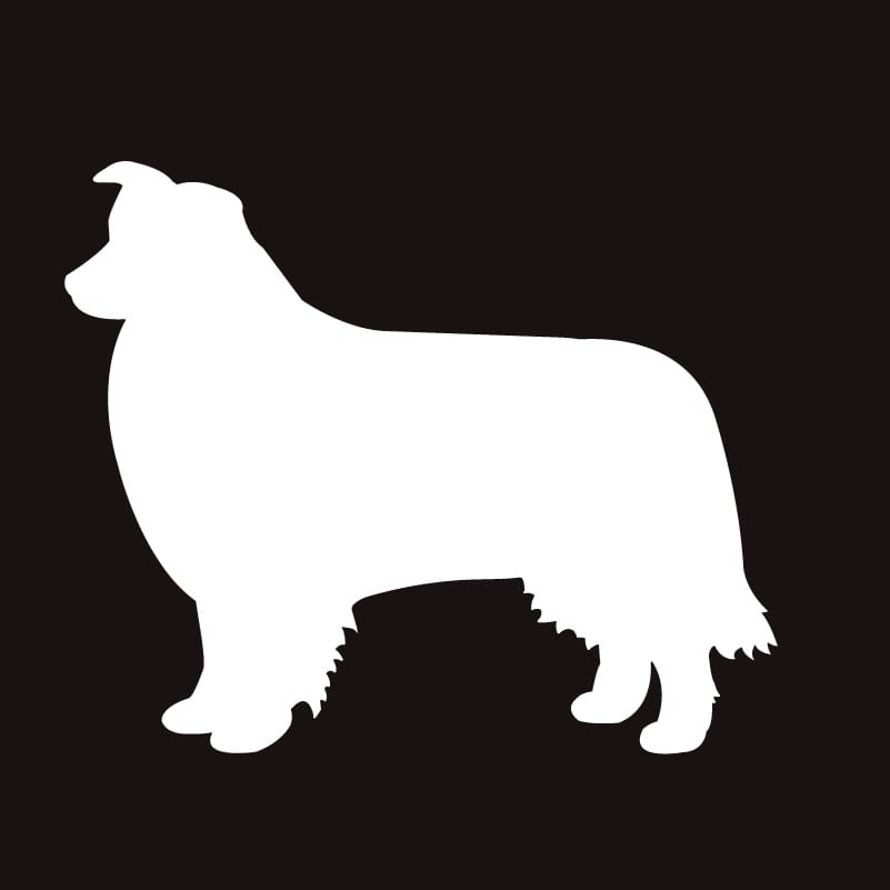 Border Collie - Embroidered Visor