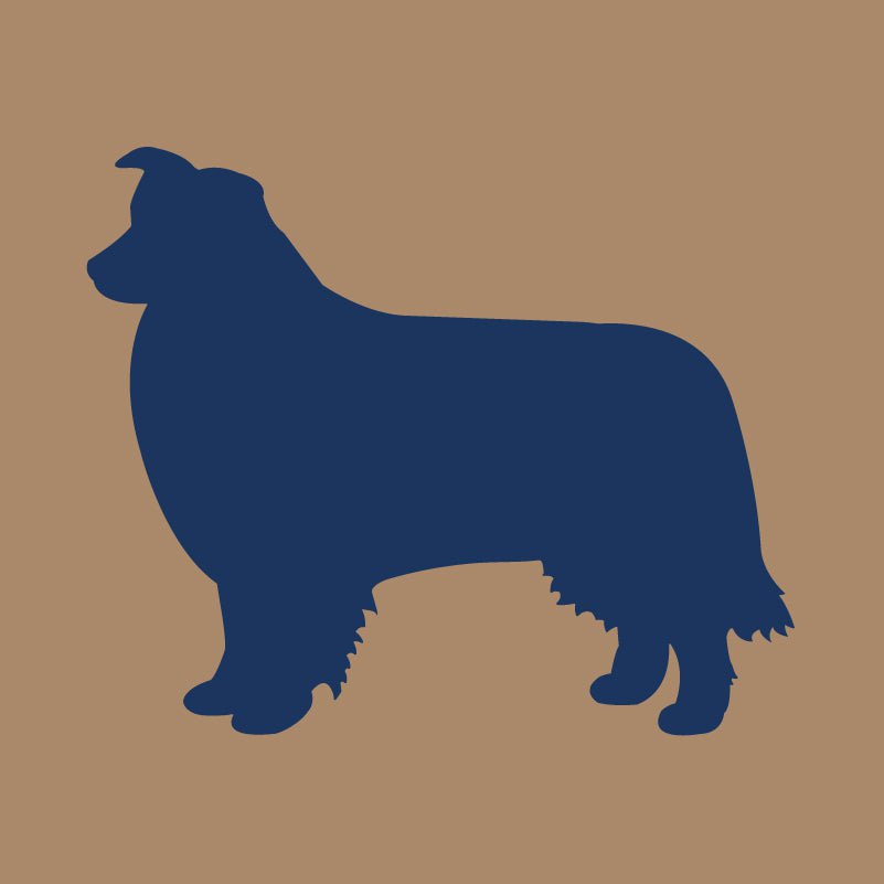 Border Collie - Embroidered Visor