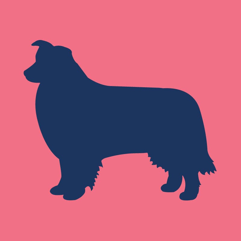 Border Collie Children's Full Zip Sweatshirt