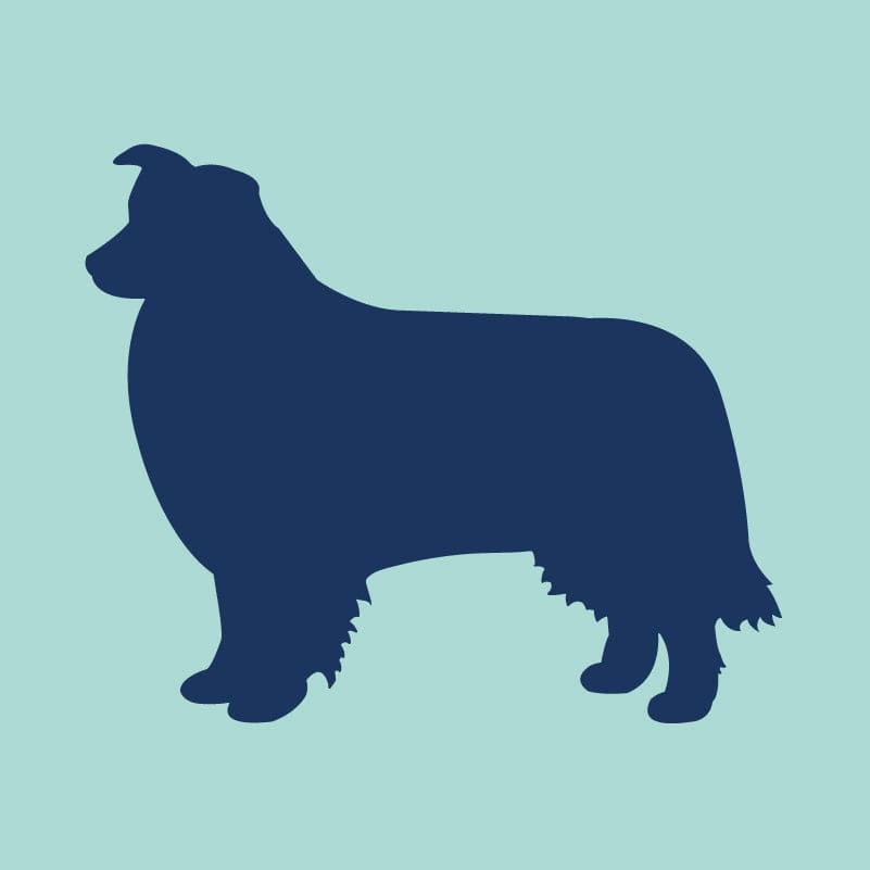 Border Collie Embroidered AKC Quarter Zip