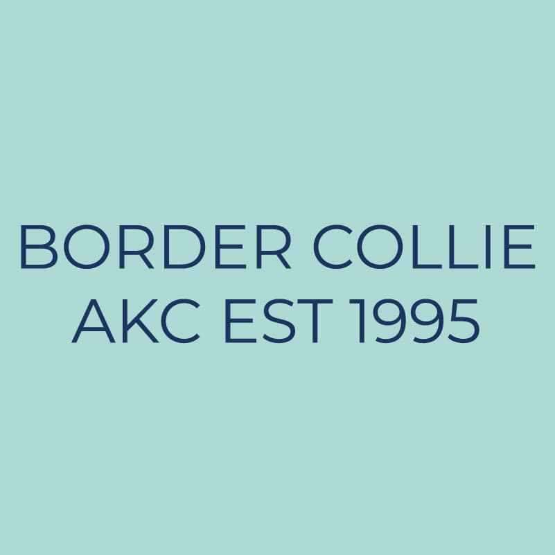 Border Collie Embroidered AKC Quarter Zip