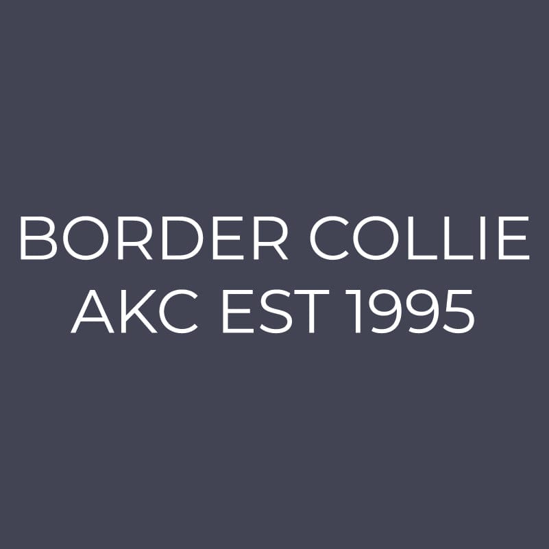 Border Collie Embroidered AKC Quarter Zip