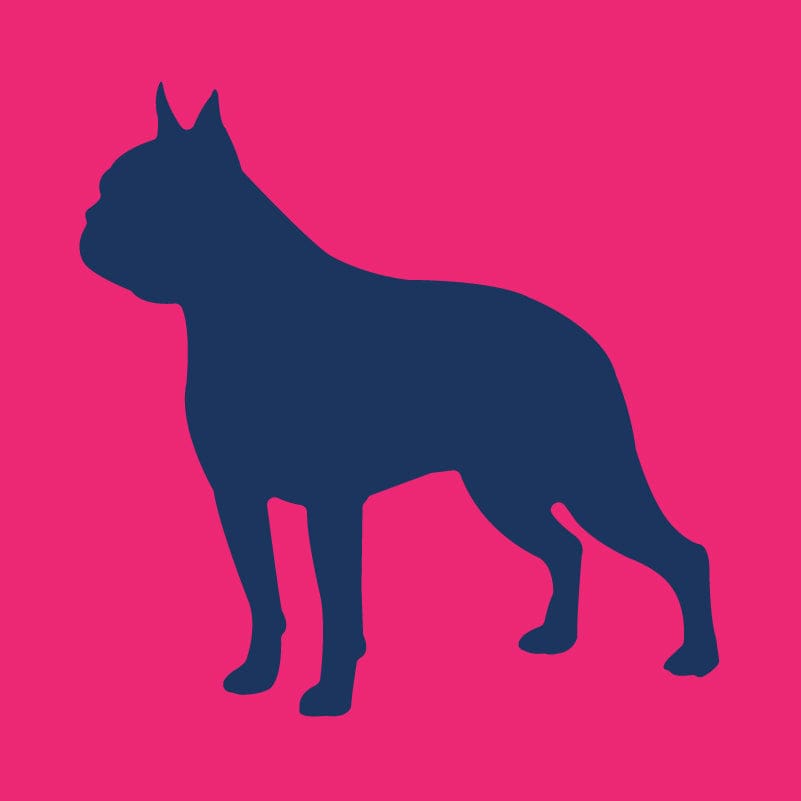 Boston Terrier - Infant Onesie