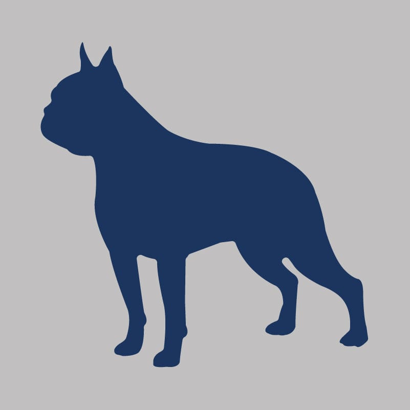 Boston Terrier - Infant Onesie