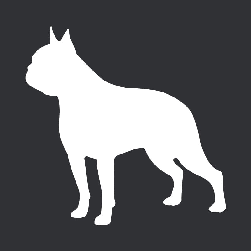 Boston Terrier Embroidered AKC Men's Polo