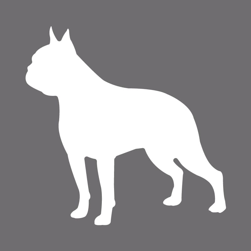 Boston Terrier Embroidered AKC Men's Polo