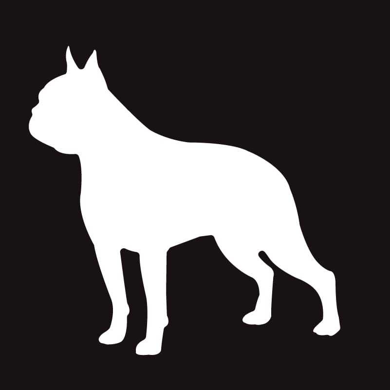 Boston Terrier - Embroidered Visor