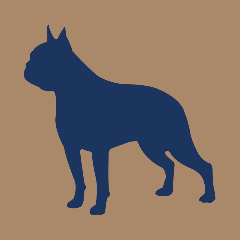 Boston Terrier - Embroidered Visor