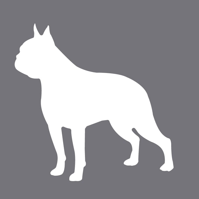 Boston Terrier - Youth Full Zip Sweatshirt