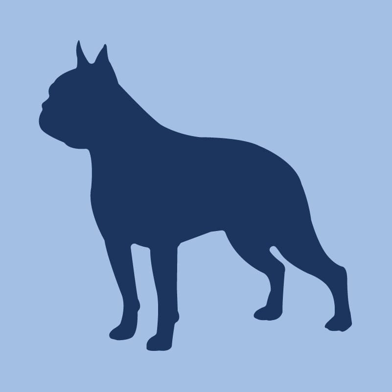 Boston Terrier - Youth Full Zip Sweatshirt