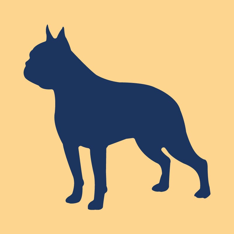 Boston Terrier Embroidered AKC Quarter Zip