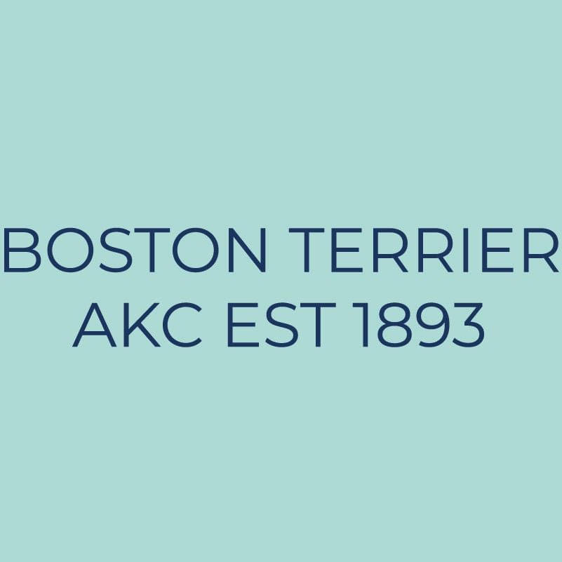 Boston Terrier Embroidered AKC Quarter Zip