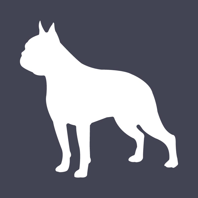 Boston Terrier Embroidered AKC Quarter Zip