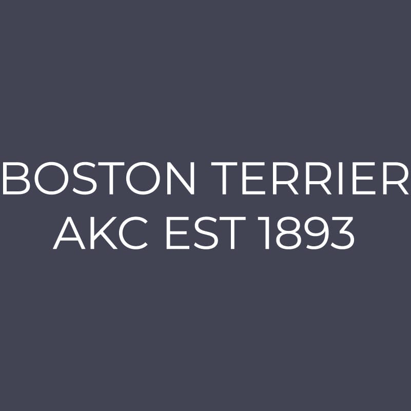 Boston Terrier Embroidered AKC Quarter Zip