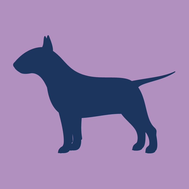 Bull Terrier - Infant Onesie