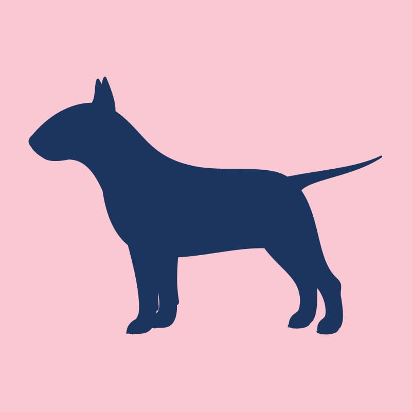 Bull Terrier - Infant Onesie