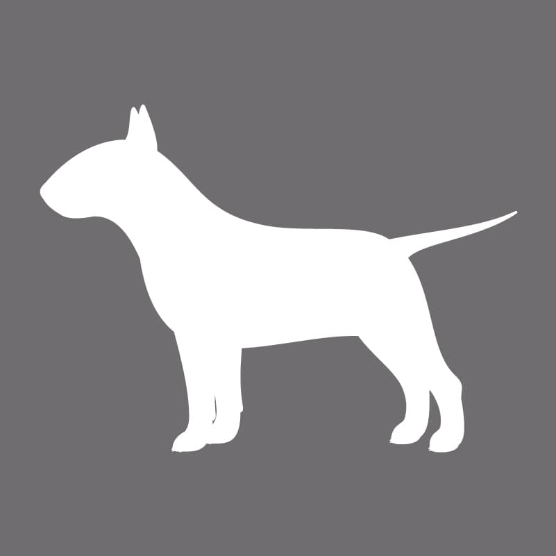 Bull Terrier Embroidered AKC Men's Polo