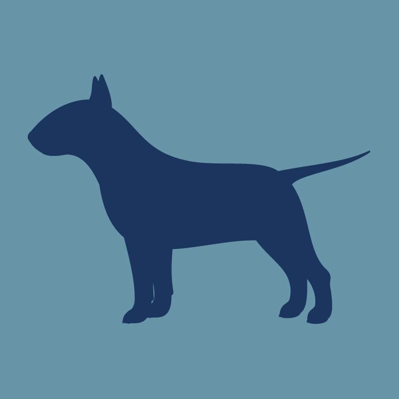 Bull Terrier - Embroidered Visor