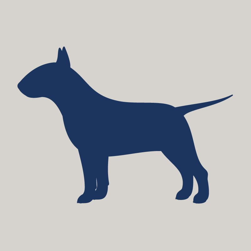 Bull Terrier - Embroidered Visor