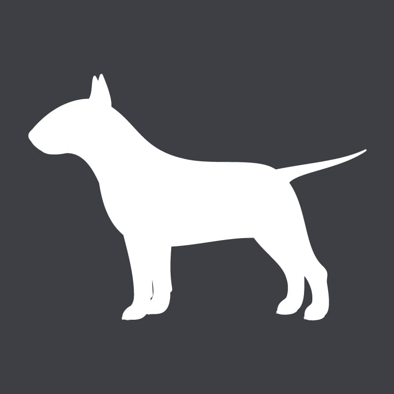 Bull Terrier  Embroidered AKC Women's Polo