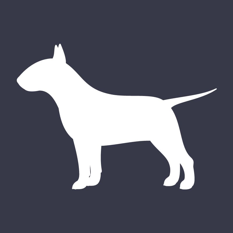 Bull Terrier  Embroidered AKC Women's Polo