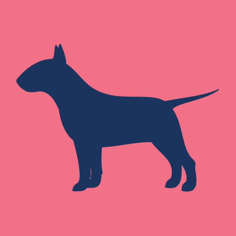 Bull Terrier Children's Full Zip Sweatshirt