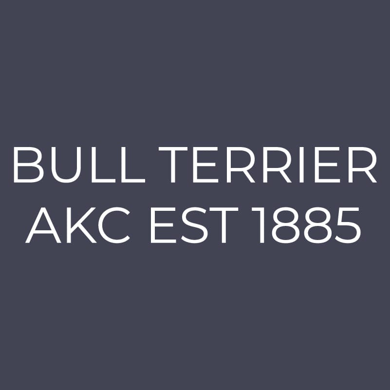 Bull Terrier Embroidered AKC Quarter Zip