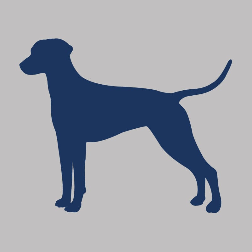 Dalmatian Infant Onesie