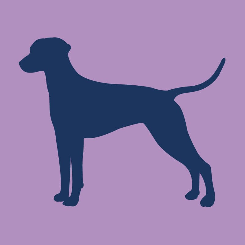 Dalmatian Infant Onesie