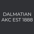Dalmatian Embroidered AKC Men's Polo