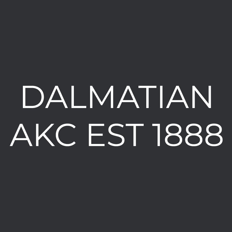 Dalmatian Embroidered AKC Men's Polo