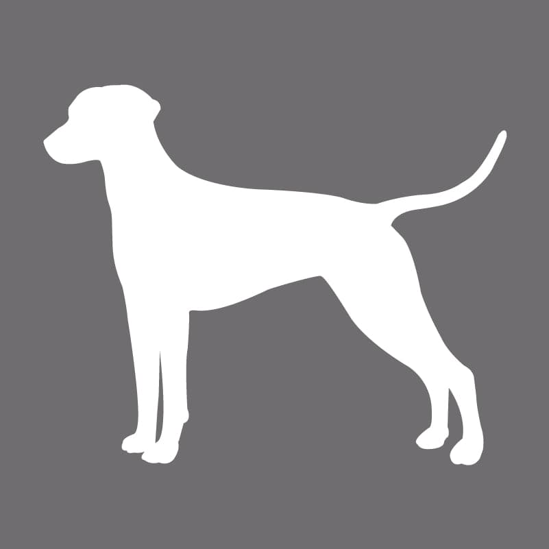 Dalmatian Embroidered AKC Men's Polo