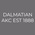 Dalmatian Embroidered AKC Men's Polo
