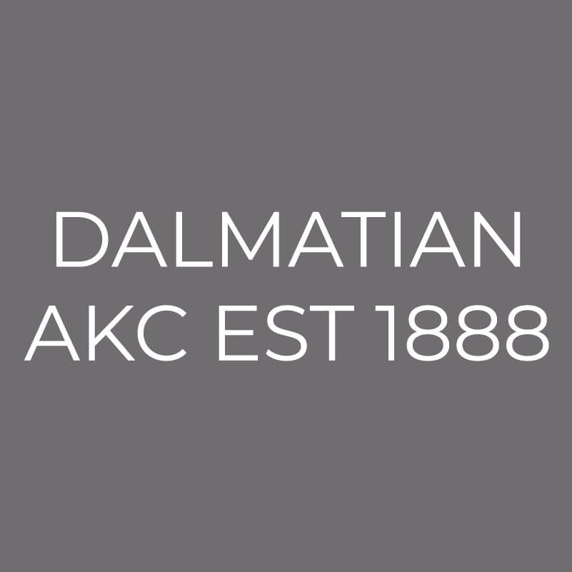 Dalmatian Embroidered AKC Men's Polo