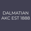 Dalmatian Embroidered AKC Men's Polo