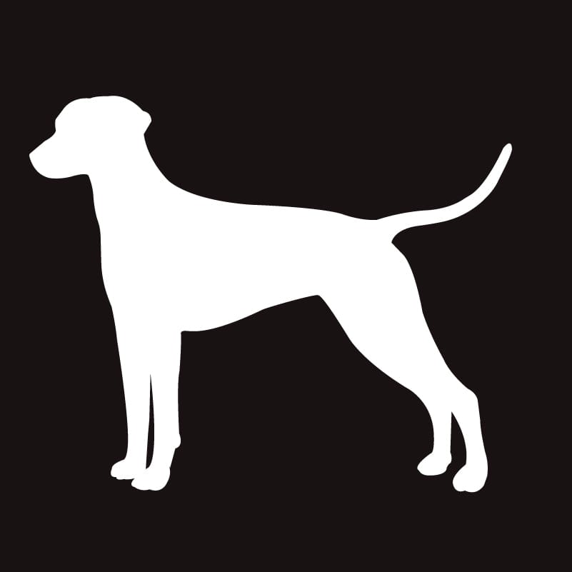 Dalmatian AKC Embroidered Visor