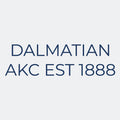Dalmatian Embroidered AKC Women's Polo
