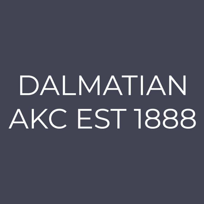 Dalmatian Embroidered AKC Quarter Zip