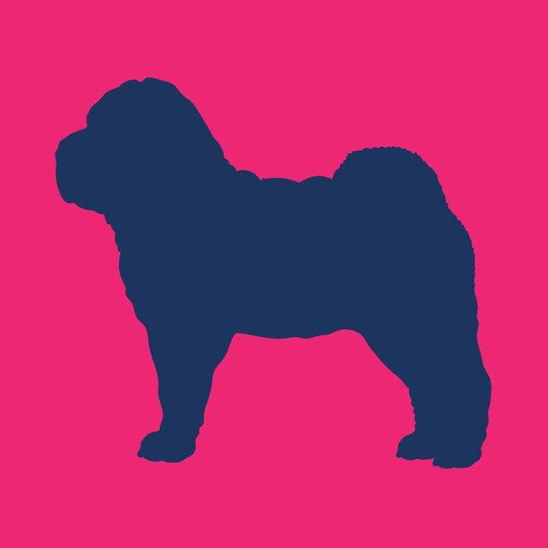 Chinese Shar-Pei - Infant Onesie