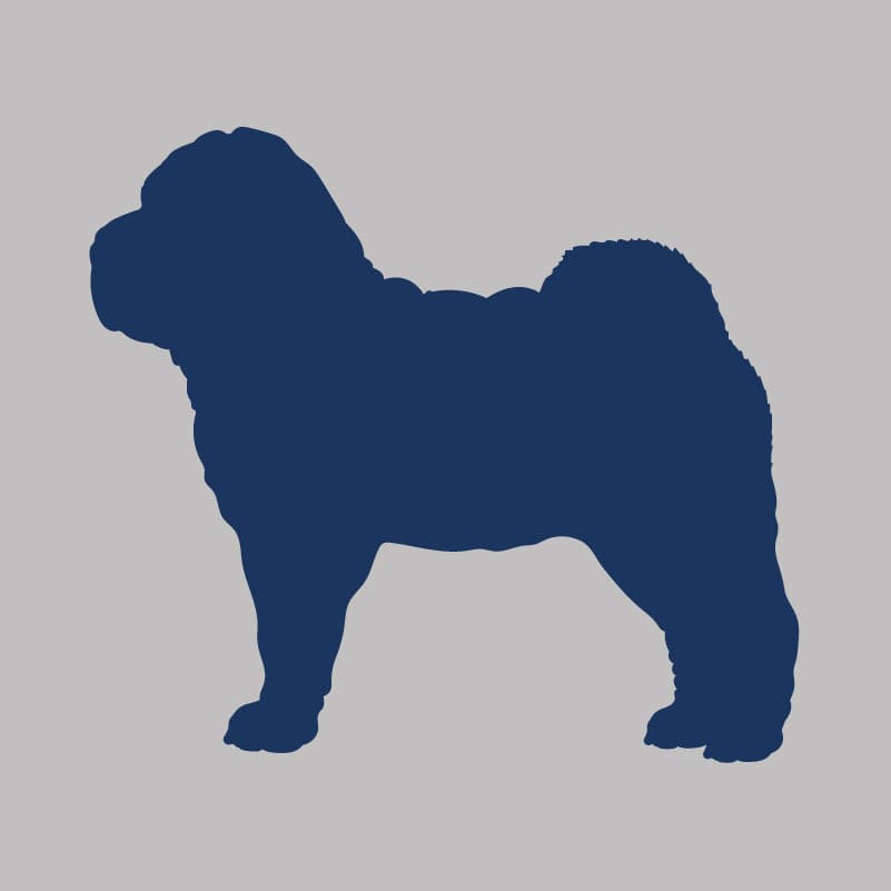 Chinese Shar-Pei - Infant Onesie