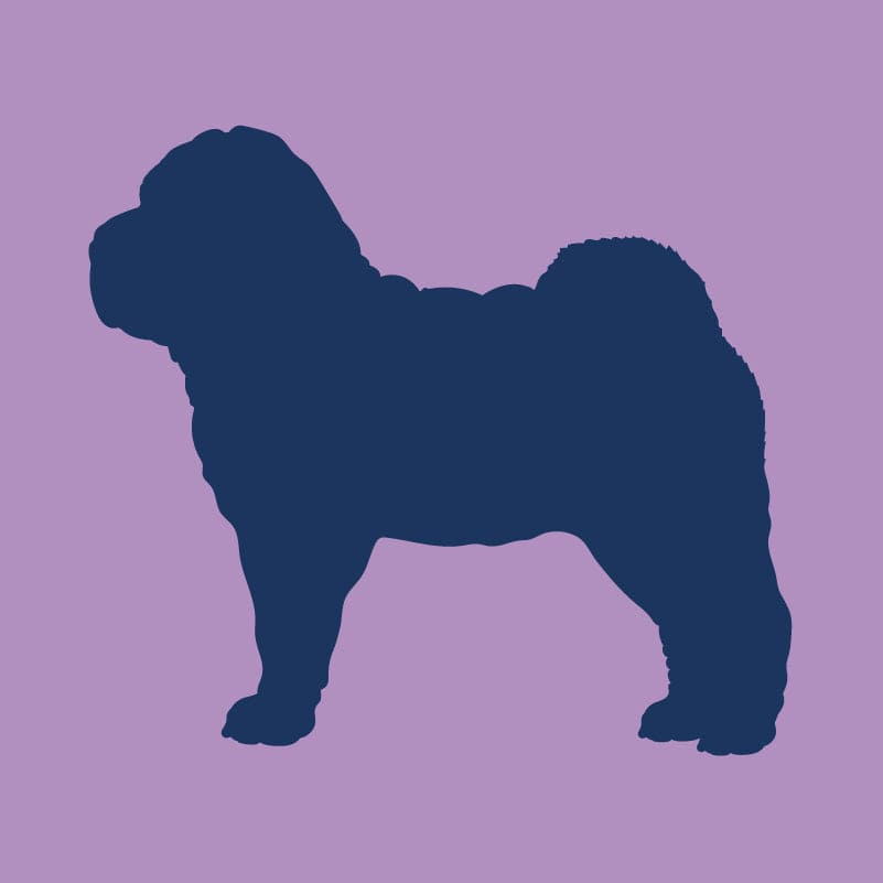 Chinese Shar-Pei - Infant Onesie